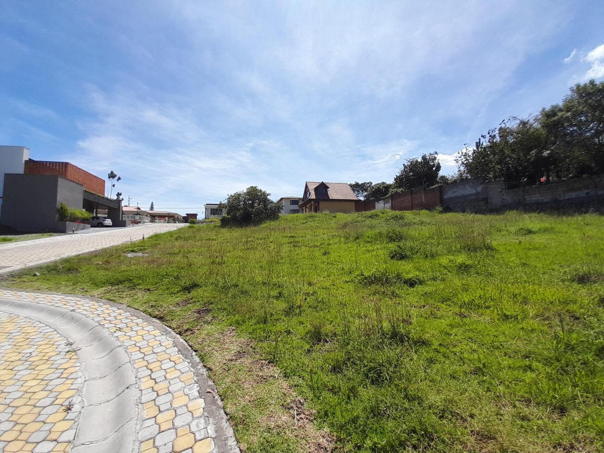 Terreno en La Morita 603 m2