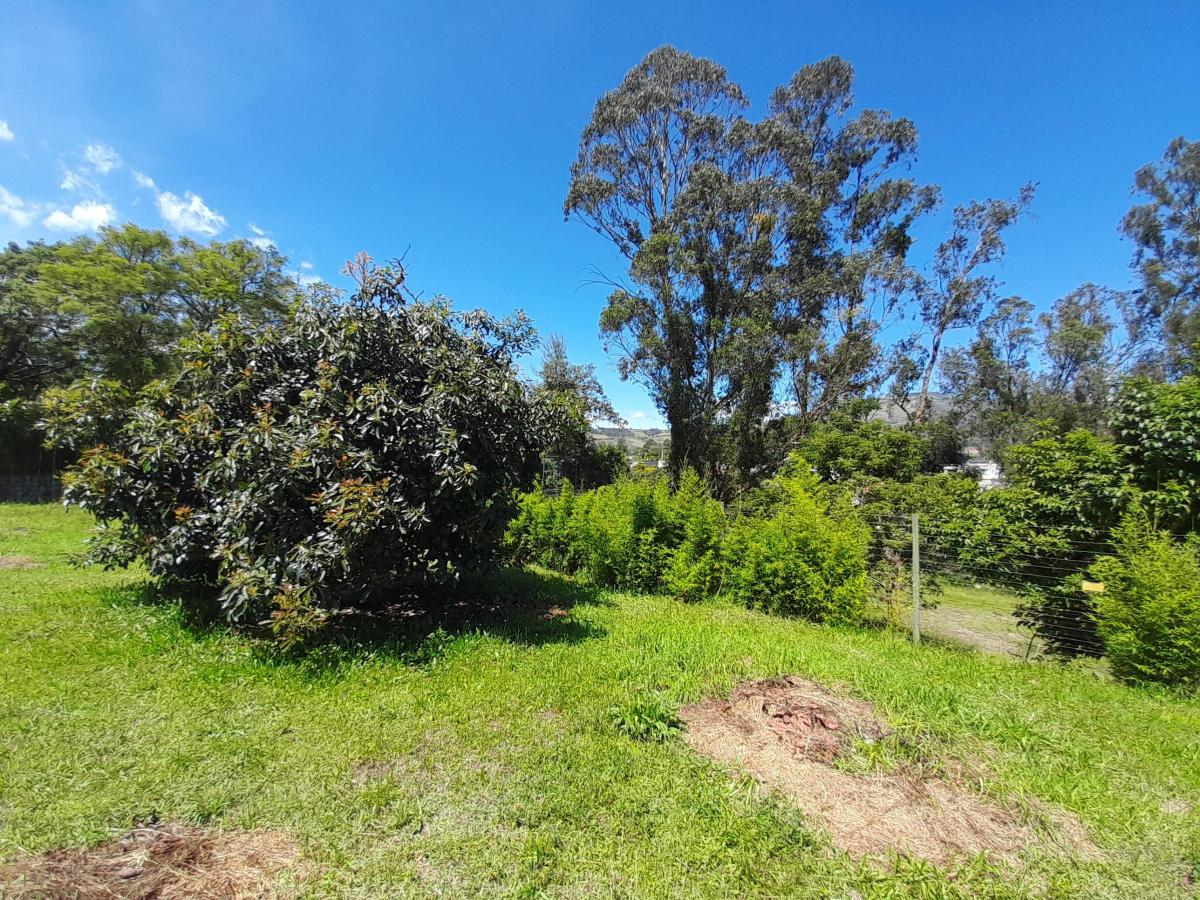 Terreno en La Morita 603 m2