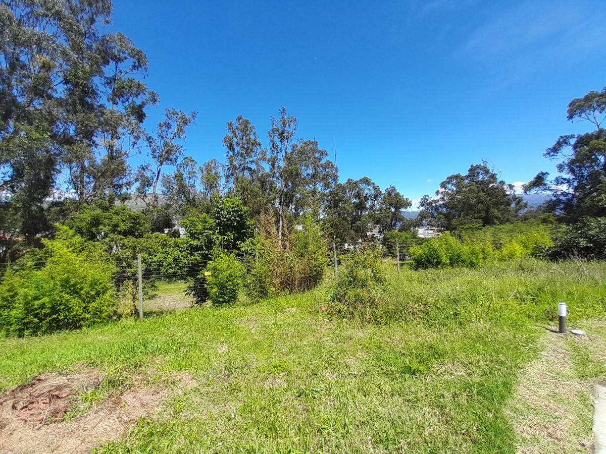 Terreno en La Morita 603 m2