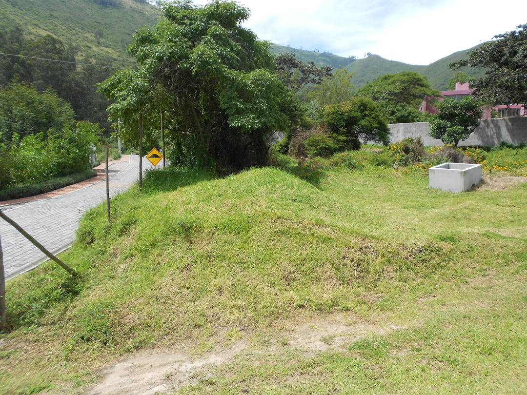 Land in Pachosalas