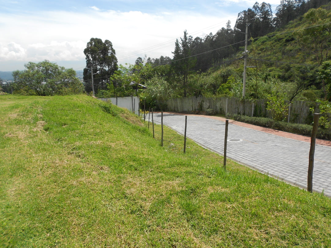 Land in Pachosalas