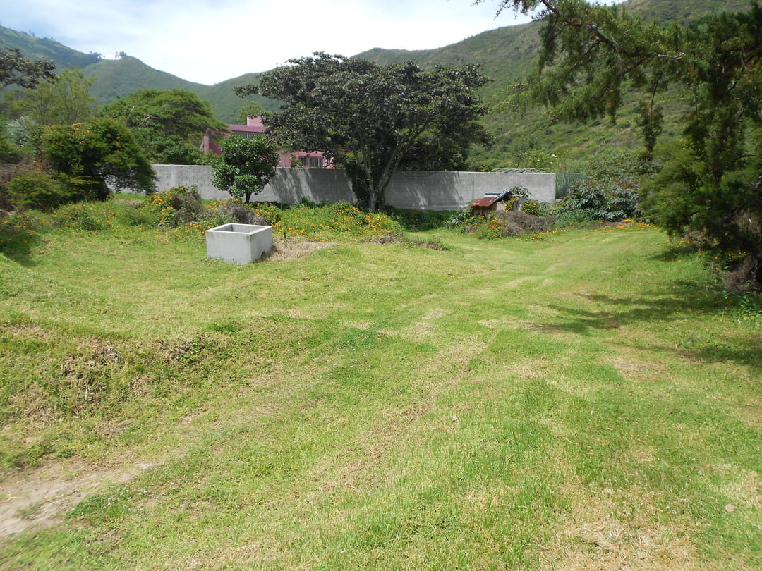 Land in Pachosalas