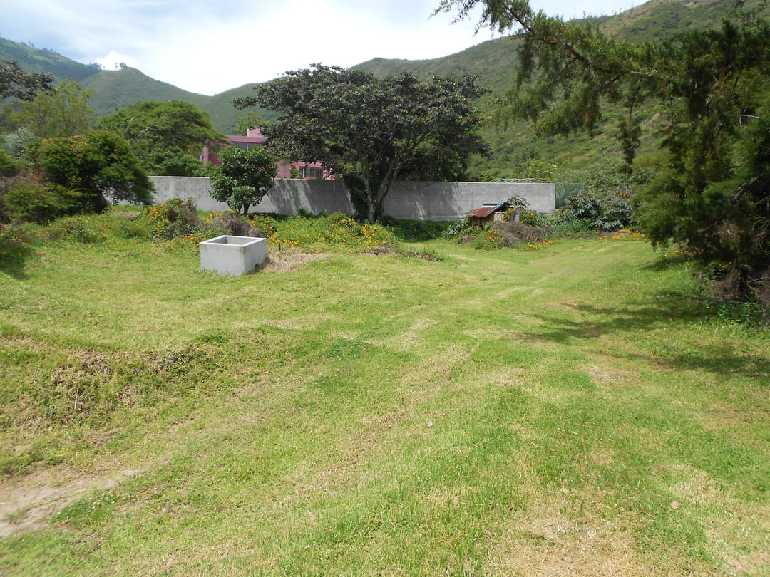 Land in Pachosalas
