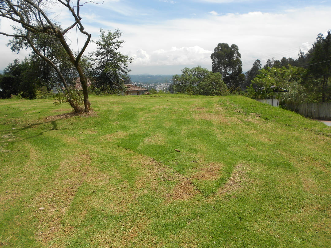 Land in Pachosalas
