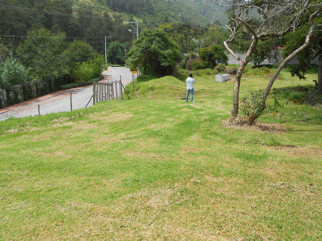 Land in Pachosalas