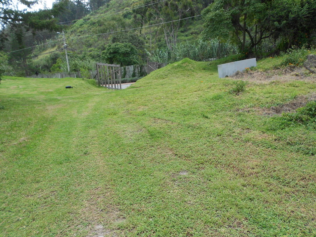 Land in Pachosalas