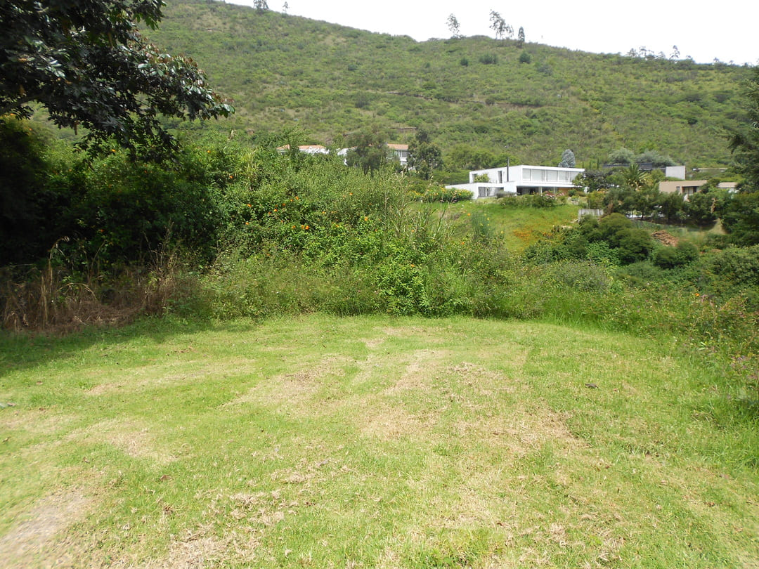 Land in Pachosalas