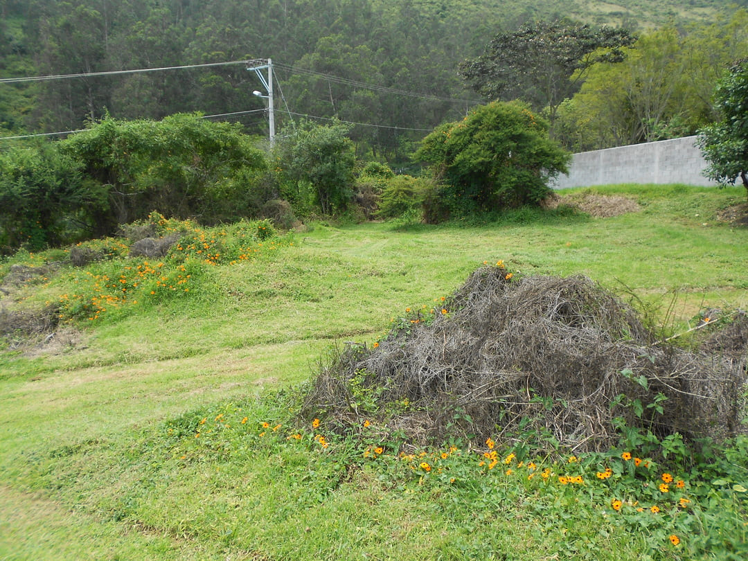 Land in Pachosalas