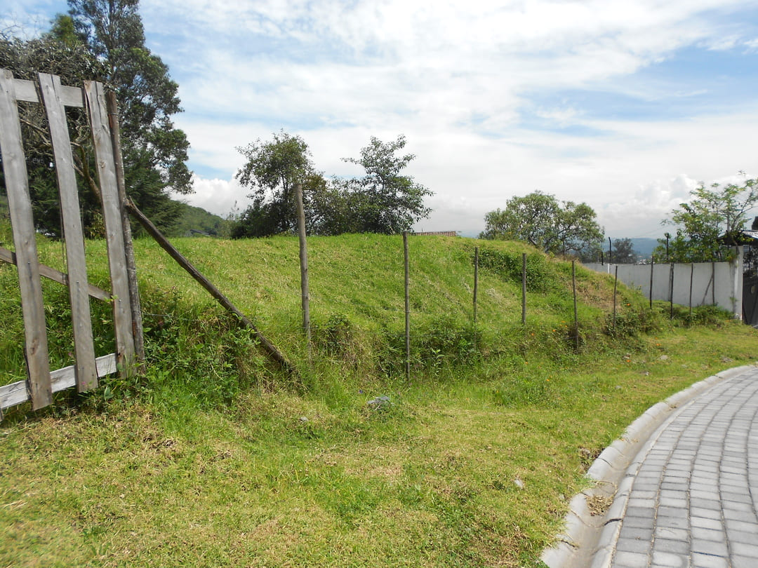 Land in Pachosalas