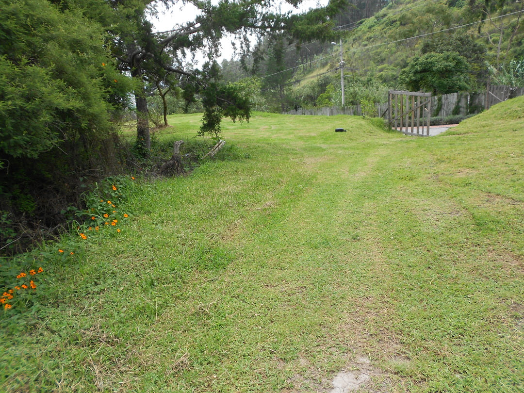 Land in Pachosalas