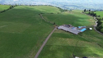 Farm in Pillaro 59.5 ha
