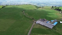 Farm in Pillaro 59.5 ha