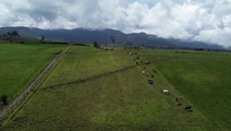 Farm in Pillaro 59.5 ha