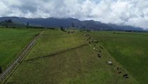 Farm in Pillaro 59.5 ha