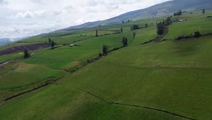 Farm in Pillaro 59.5 ha