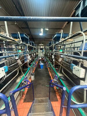 Farm in Pillaro 59.5 ha