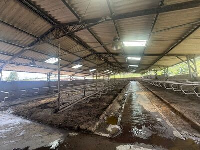 Farm in Pillaro 59.5 ha