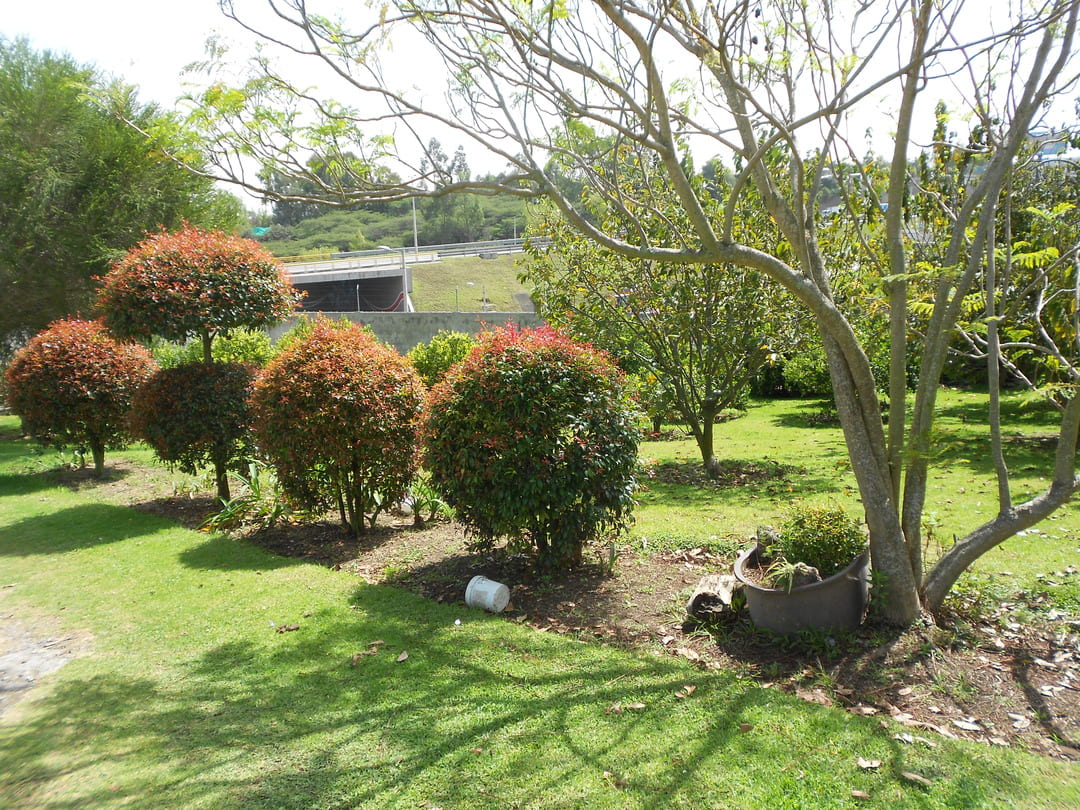 Land in La Morita