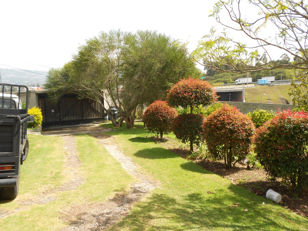 Land in La Morita