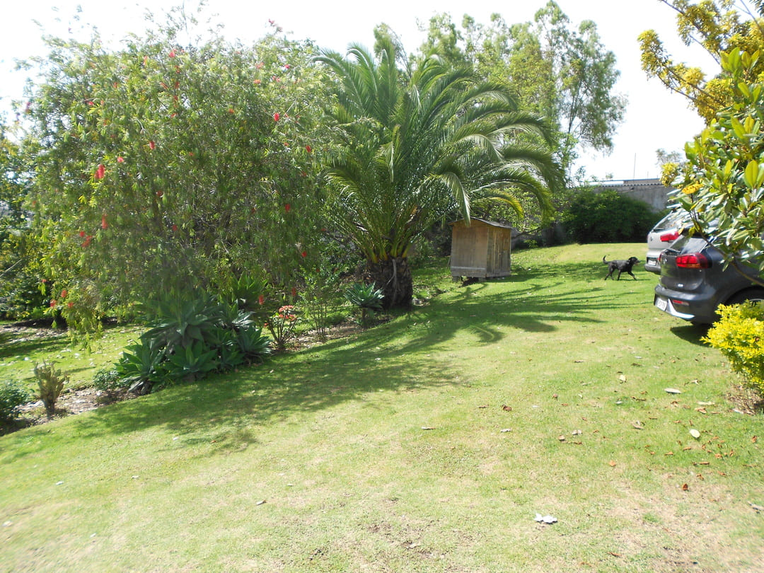 Land in La Morita