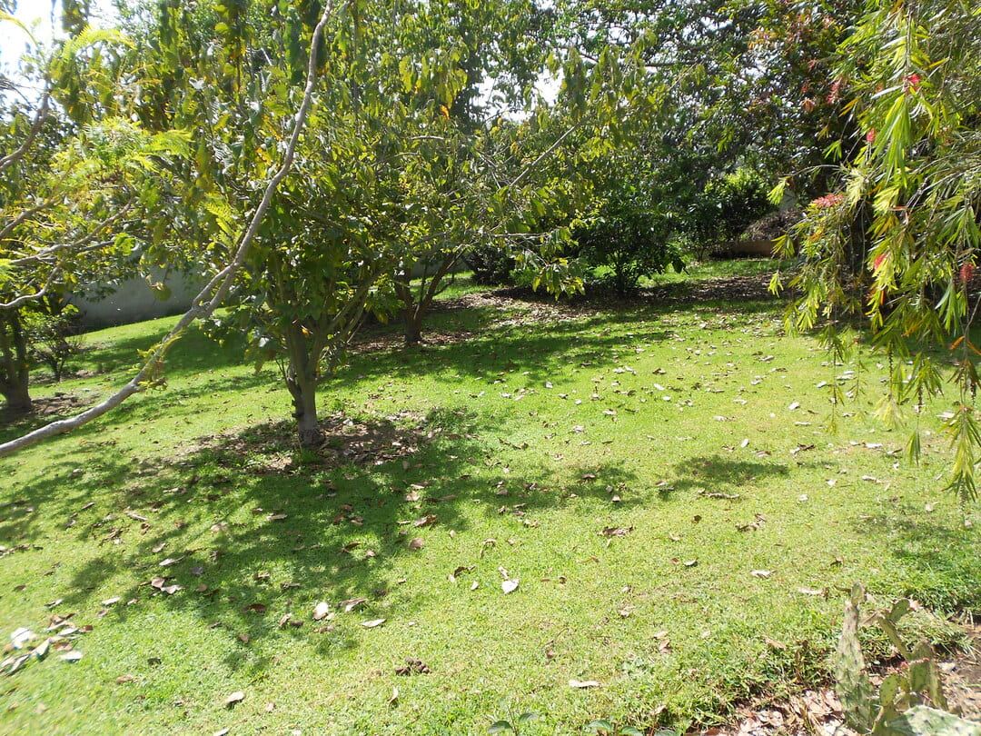Land in La Morita