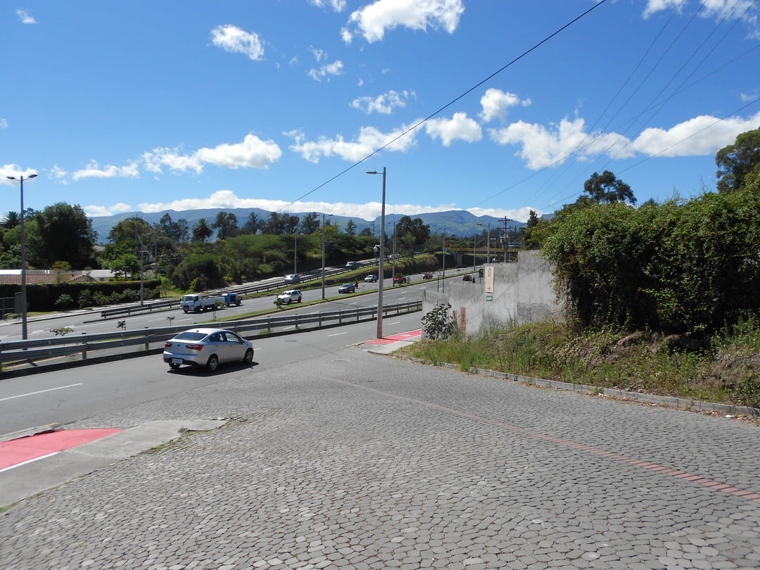 Land on ruta viva