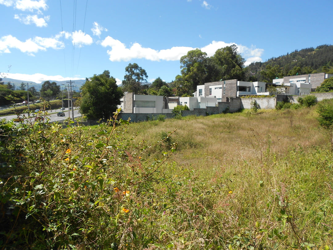 Land on ruta viva