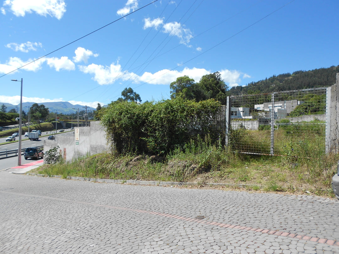 Land on ruta viva