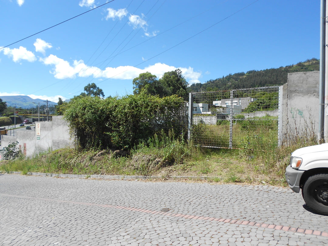 Land on ruta viva