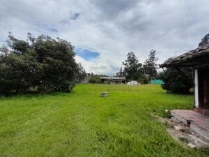Land on ruta viva
