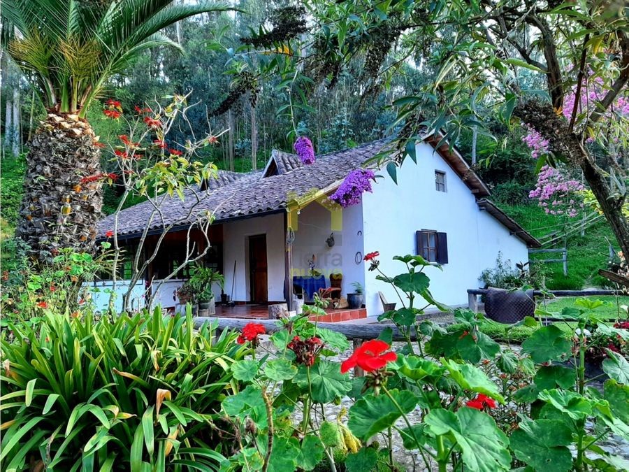Farm in Otavalo 4 ha