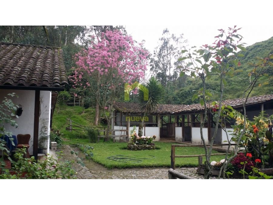 Farm in Otavalo 4 ha