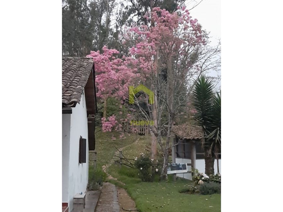 Farm in Otavalo 4 ha