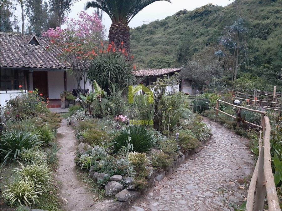Farm in Otavalo 4 ha