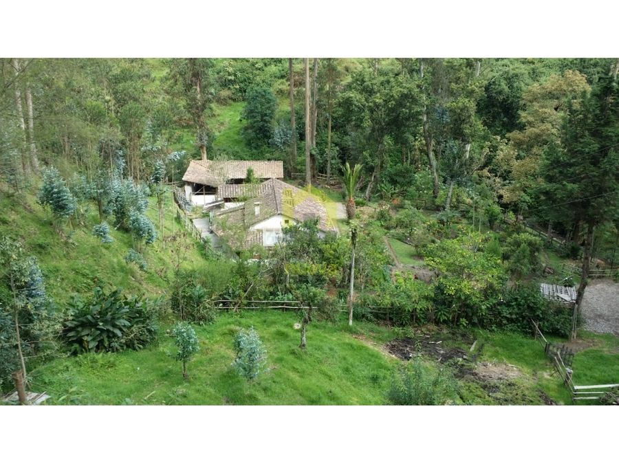 Farm in Otavalo 4 ha