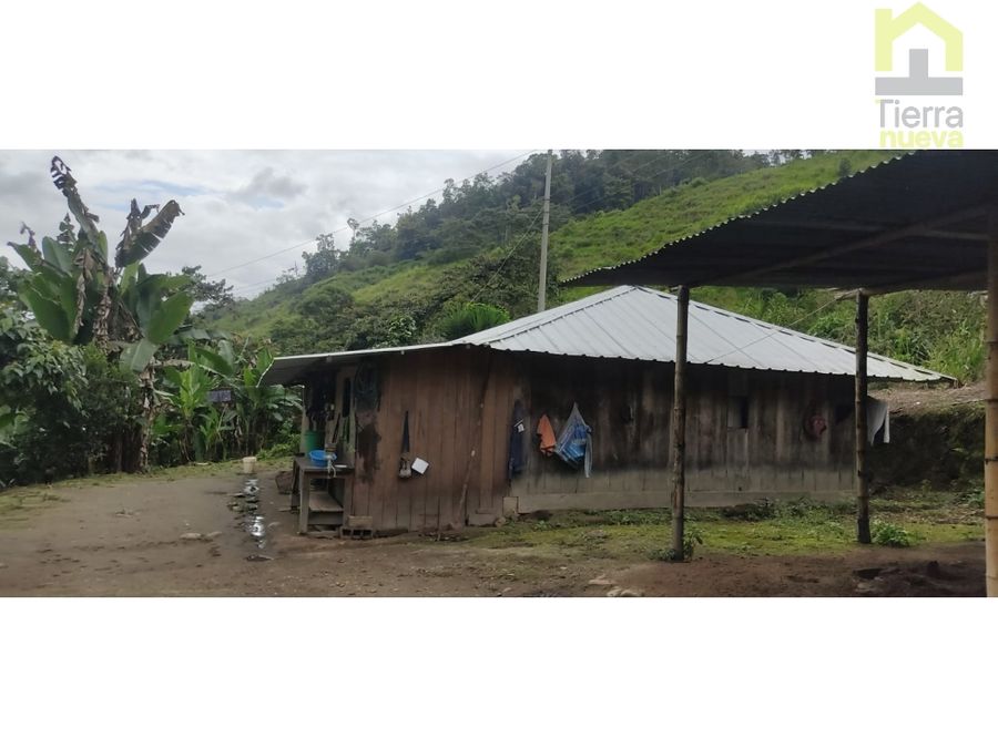 Farm in Intag 74 ha