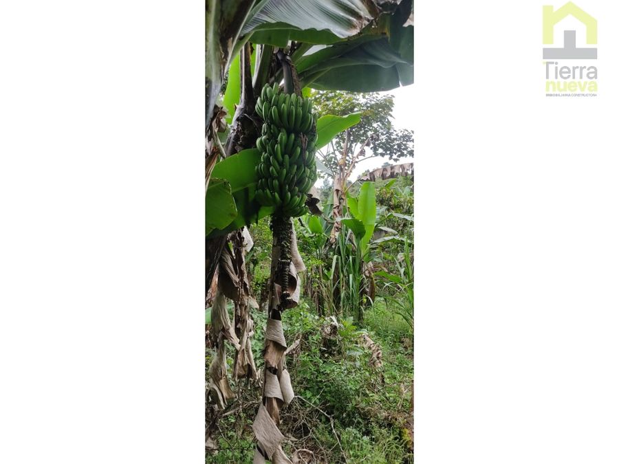 Farm in Intag 74 ha