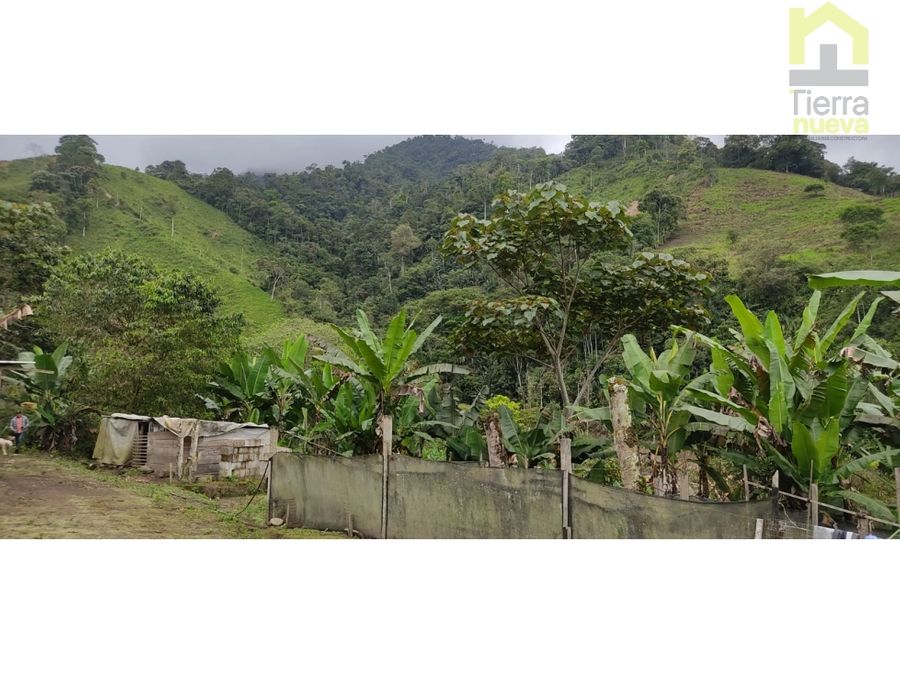 Farm in Intag 74 ha