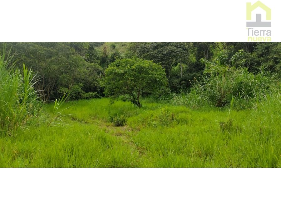 Farm in Intag 74 ha