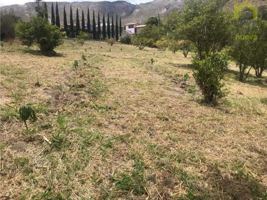 Farm in Mira 10 ha