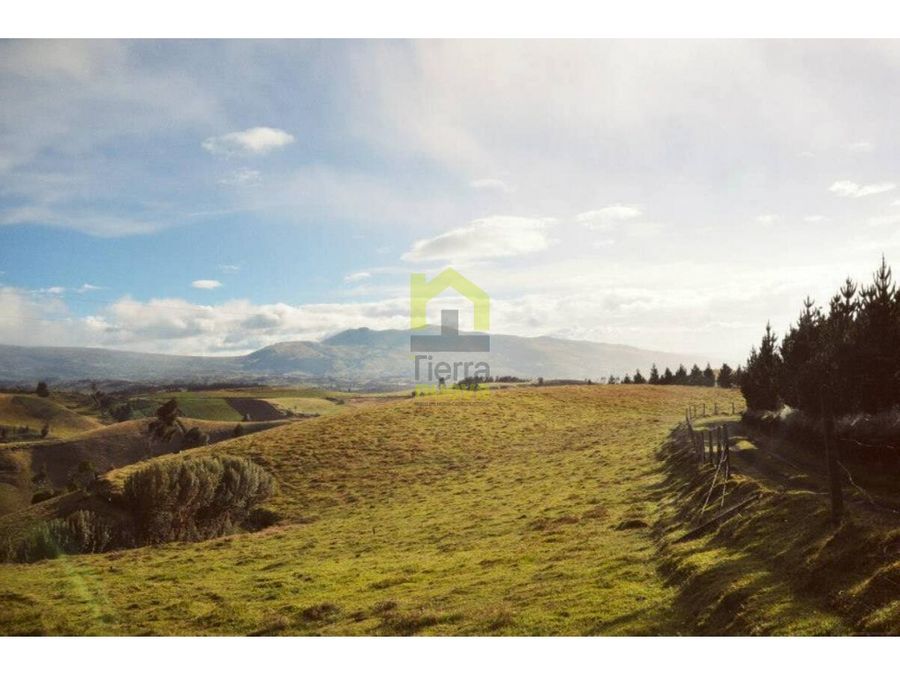 Farm in Cayambe 62 ha