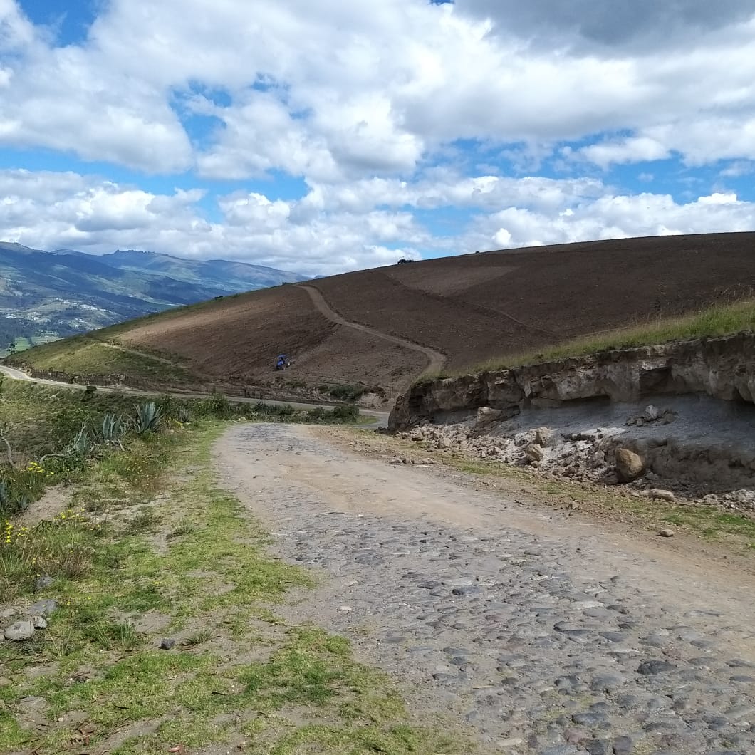 Farm in Cochasqui 61 ha