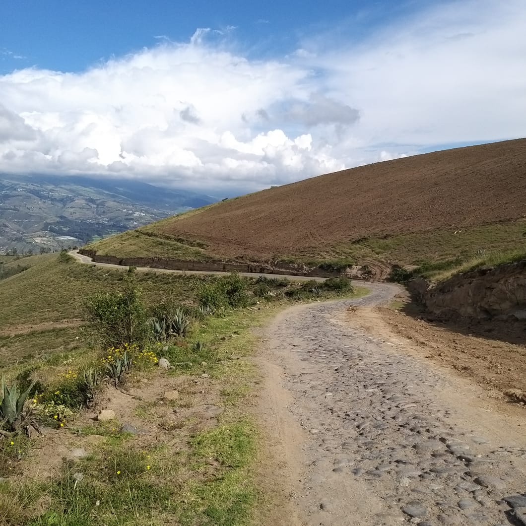 Farm in Cochasqui 61 ha