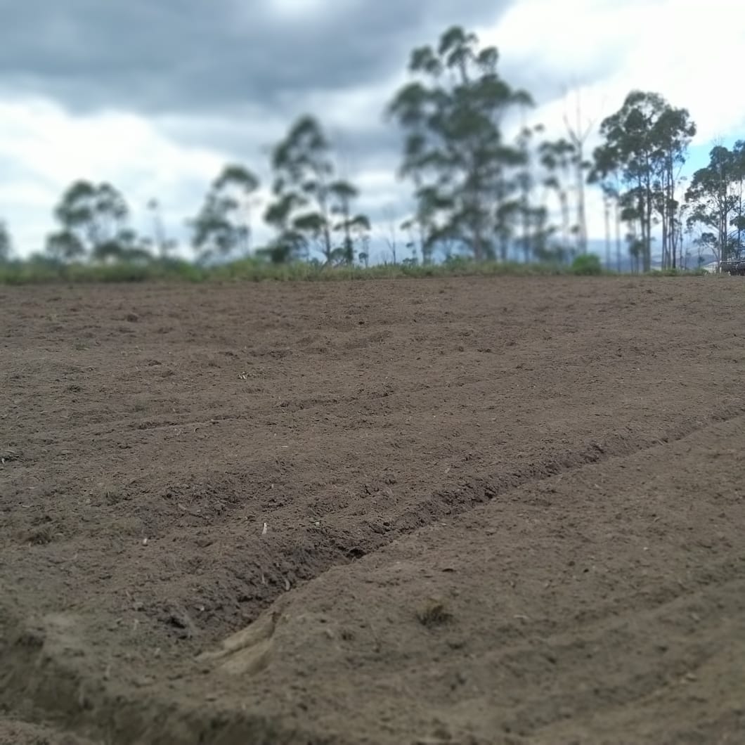 Farm in Cochasqui 61 ha
