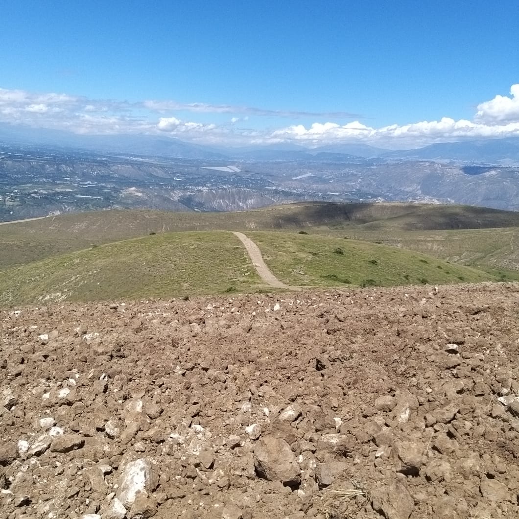 Farm in Cochasqui 61 ha