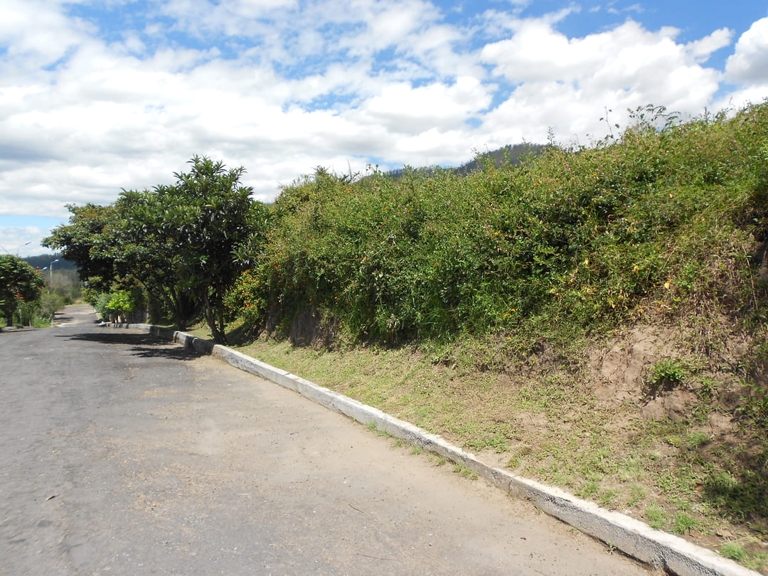 Land in Cumbaya - Yanazarapata 1008 m2