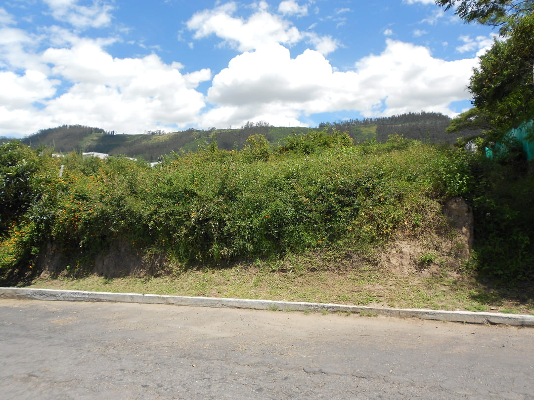 Land in Cumbaya - Yanazarapata 1008 m2