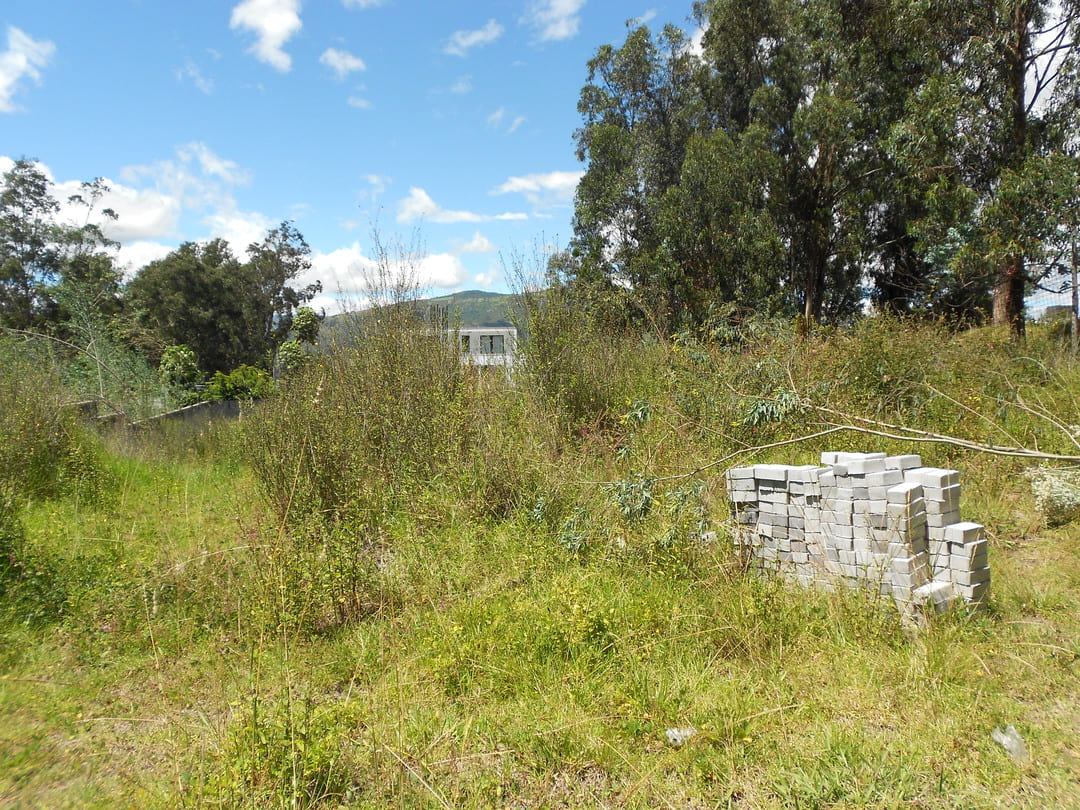 Land in Cumbaya - Yanazarapata