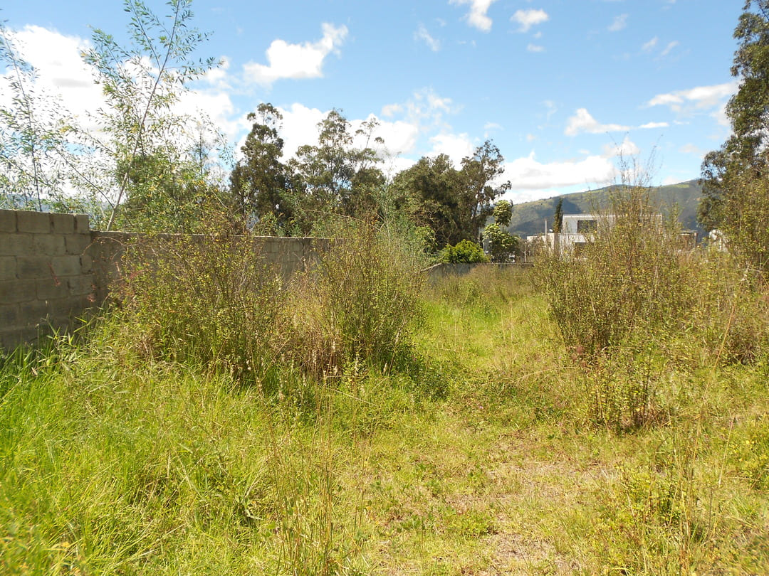 Land in Cumbaya - Yanazarapata