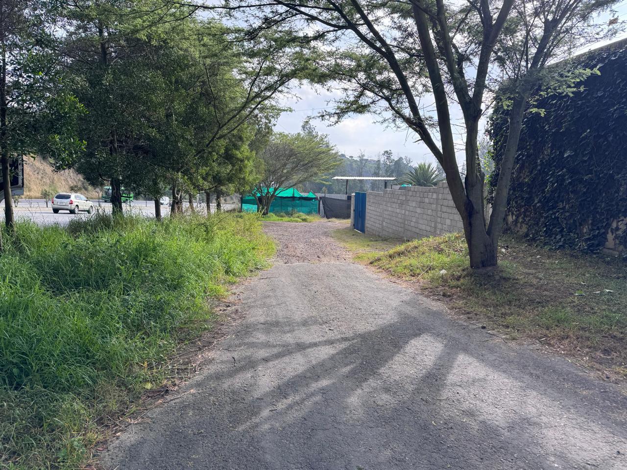 Land on Ruta Viva, 1624 m2